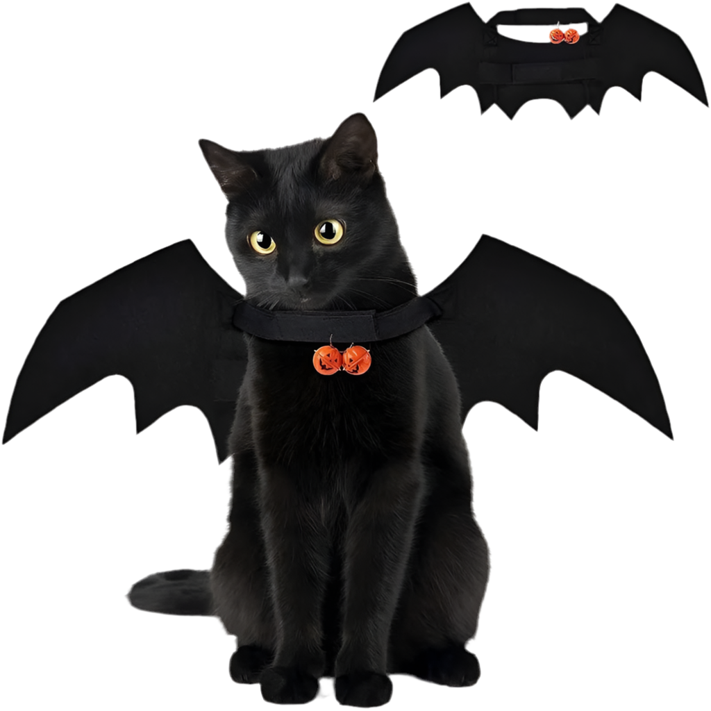 Bat Wing Costume