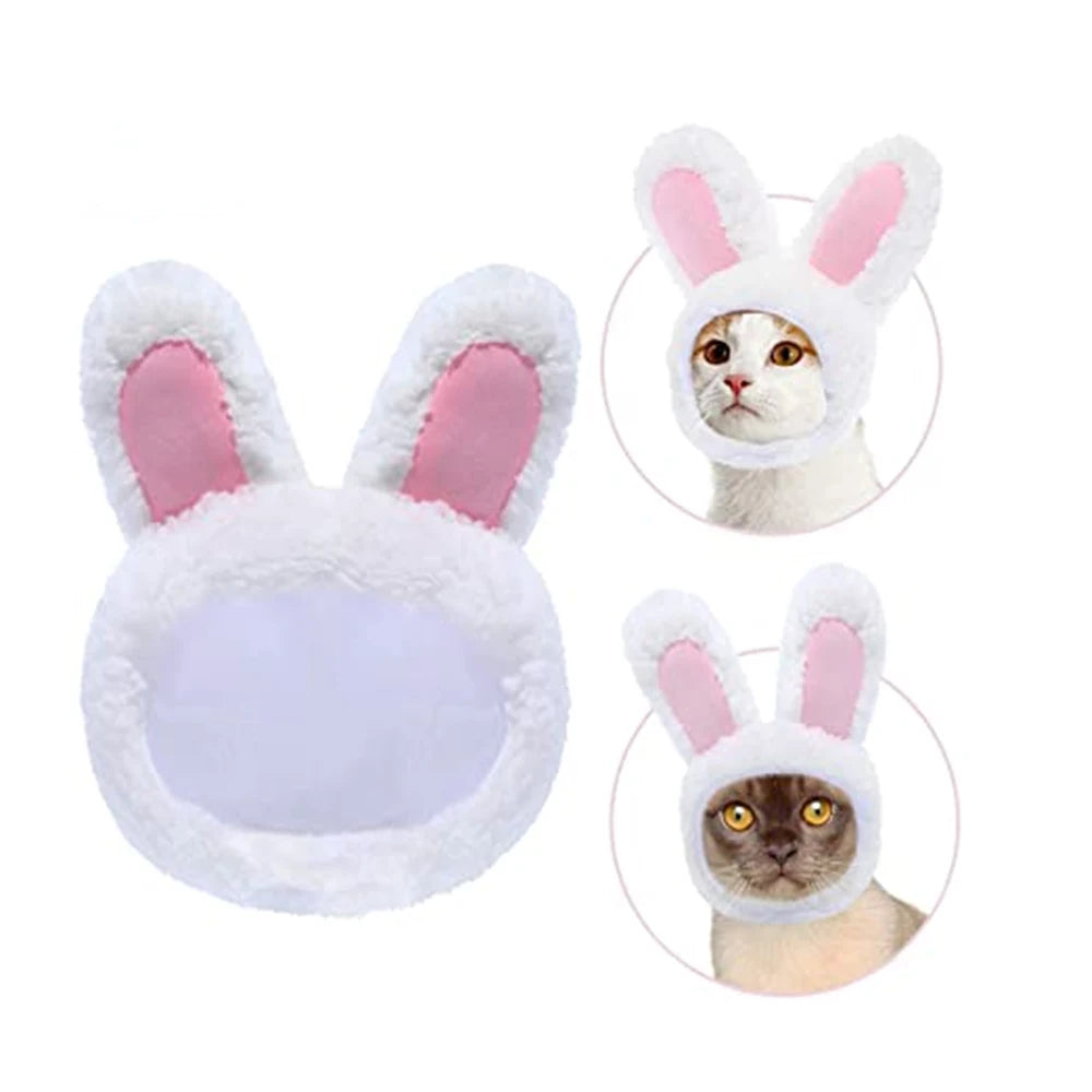 Bunny Ears