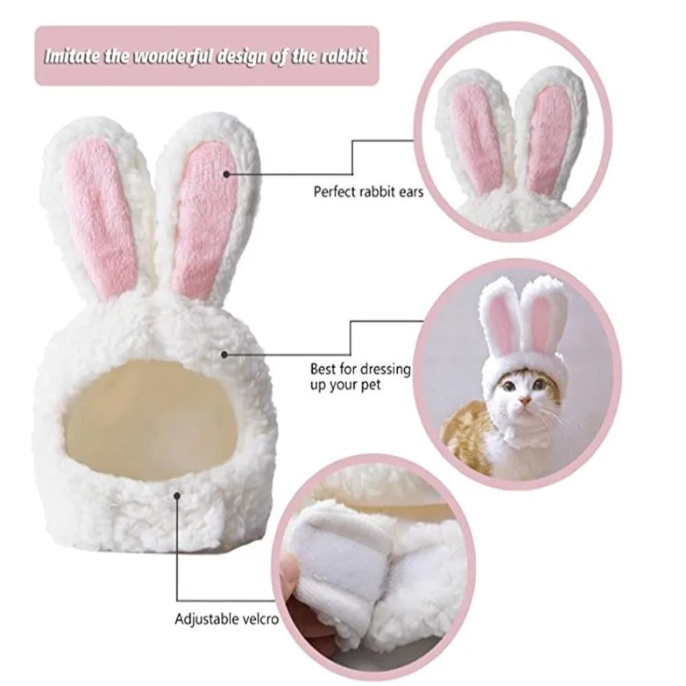 Bunny Ears