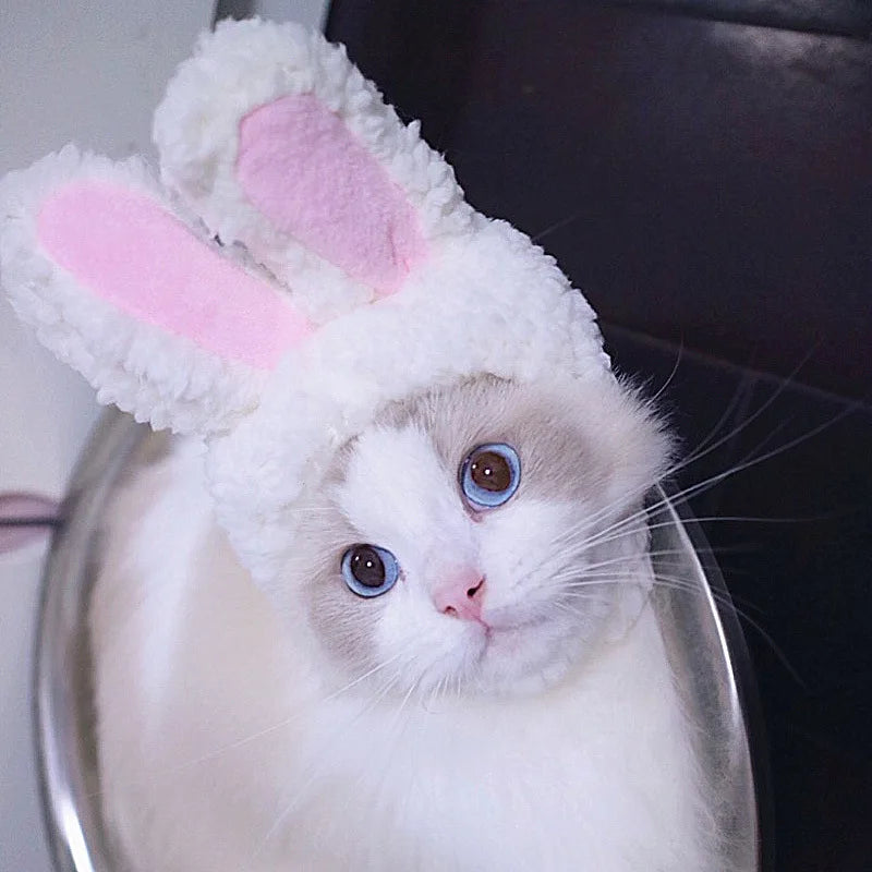Bunny Ears