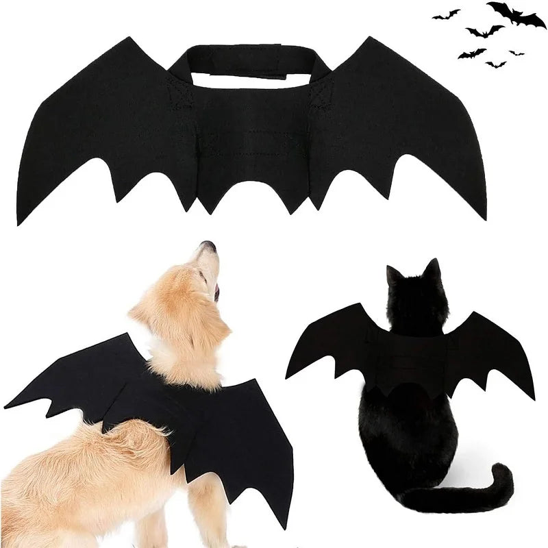 Bat Wing Costume