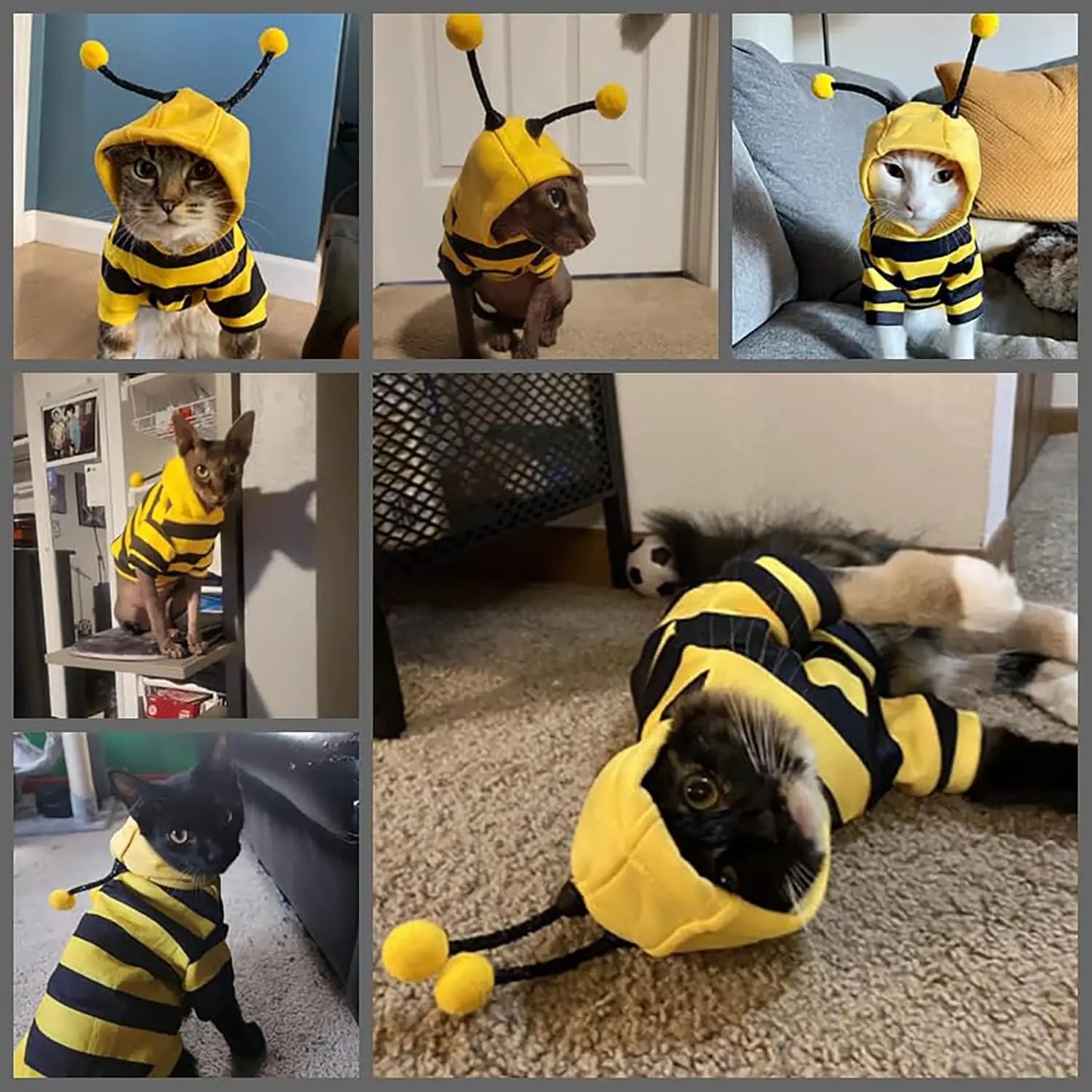 Bee Hoodie