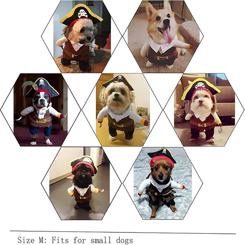 Pirate Costume