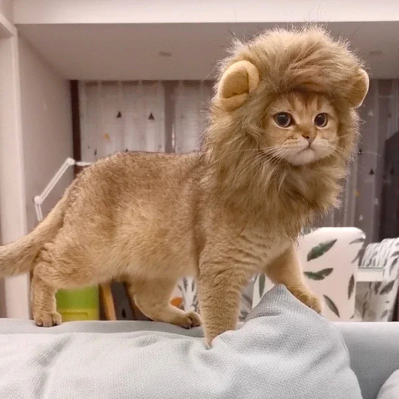 Lion Mane Wig