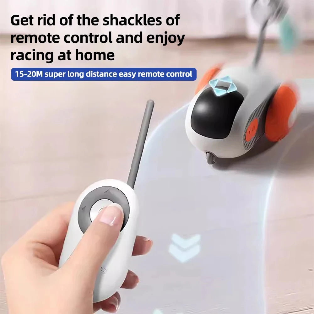 Smart Cat Toy 2