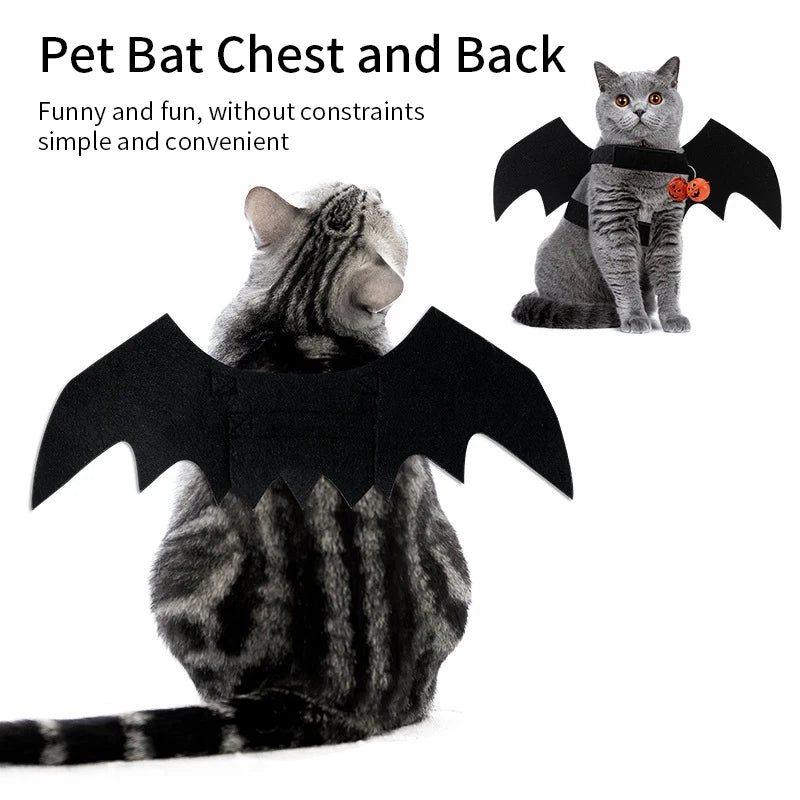 Bat Wing Costume