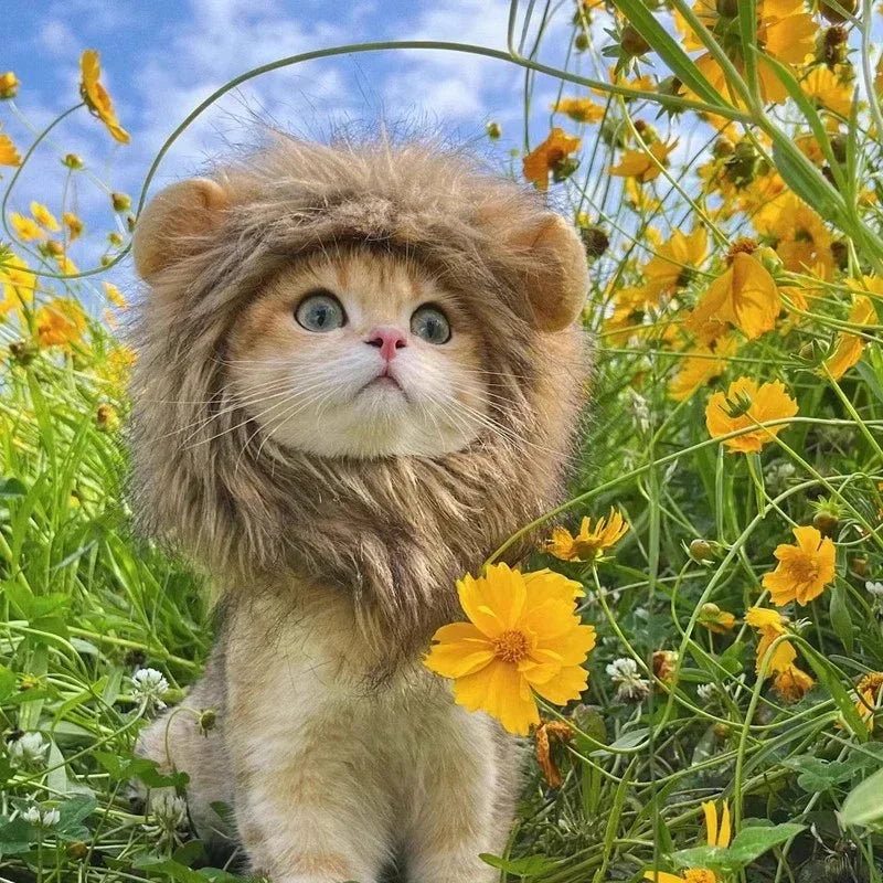 Lion Mane Wig