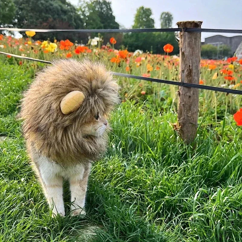 Lion Mane Wig