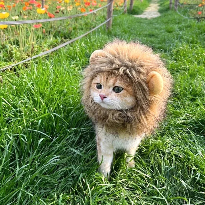 Lion Mane Wig