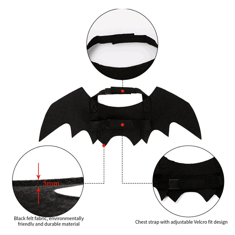 Bat Wing Costume
