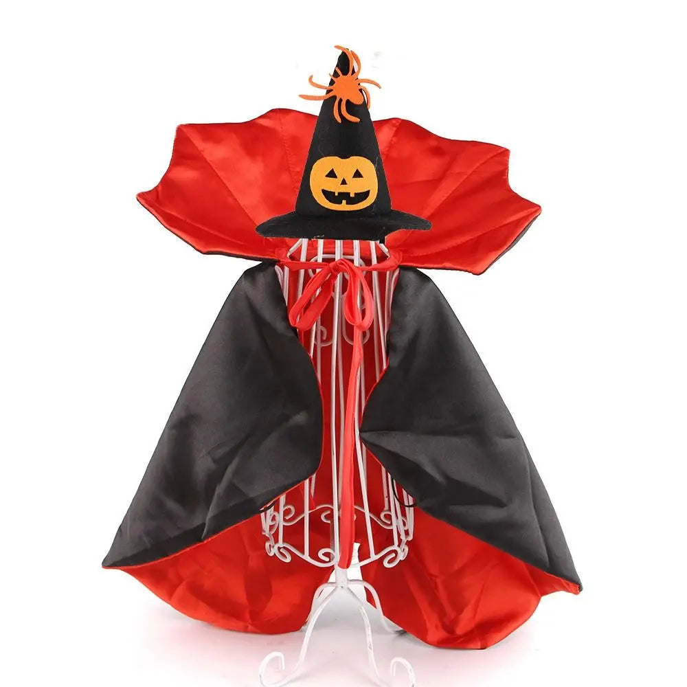 Vampire Costume