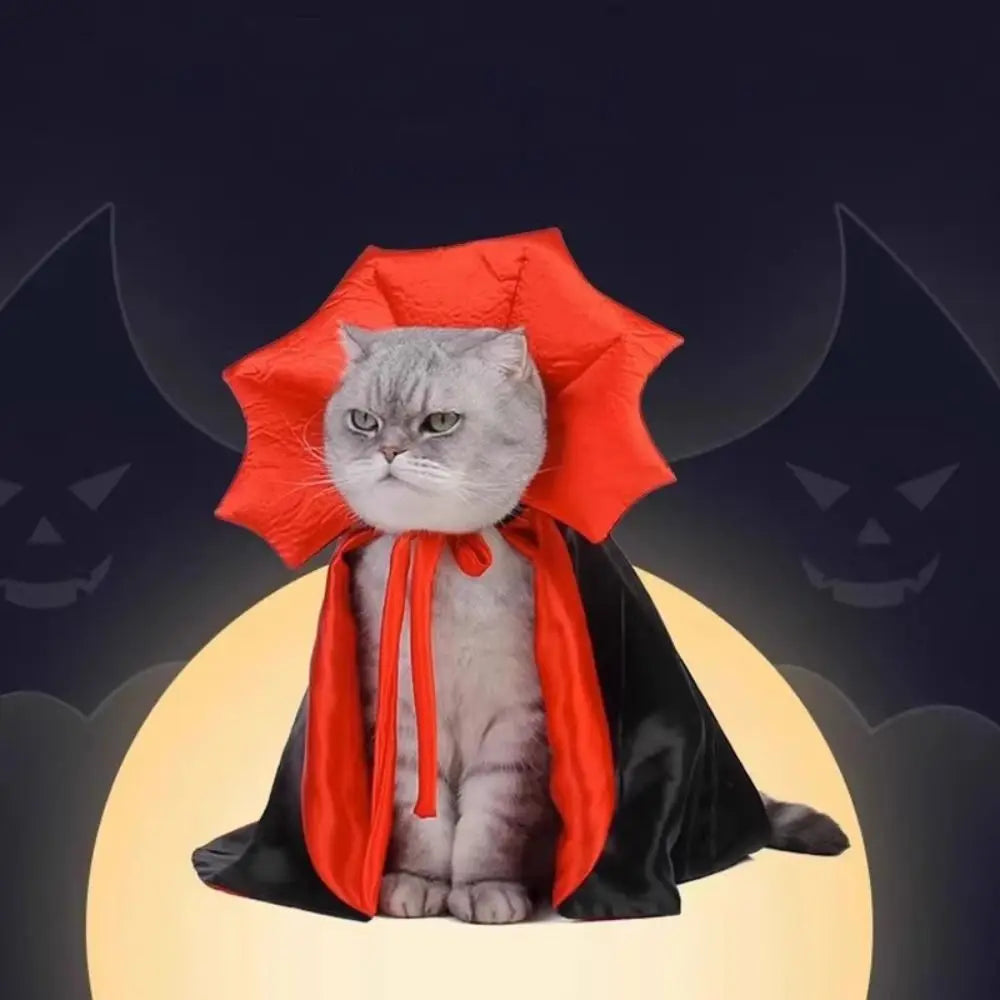Vampire Costume