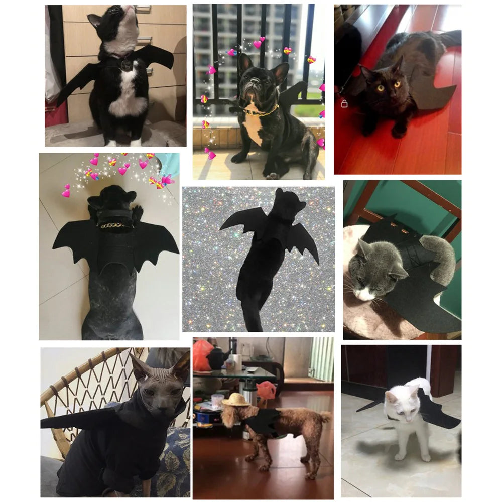 Bat Wing Costume