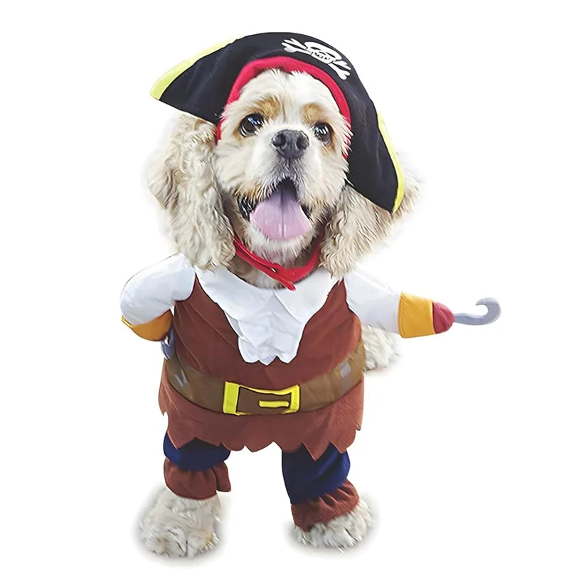 Pirate Costume