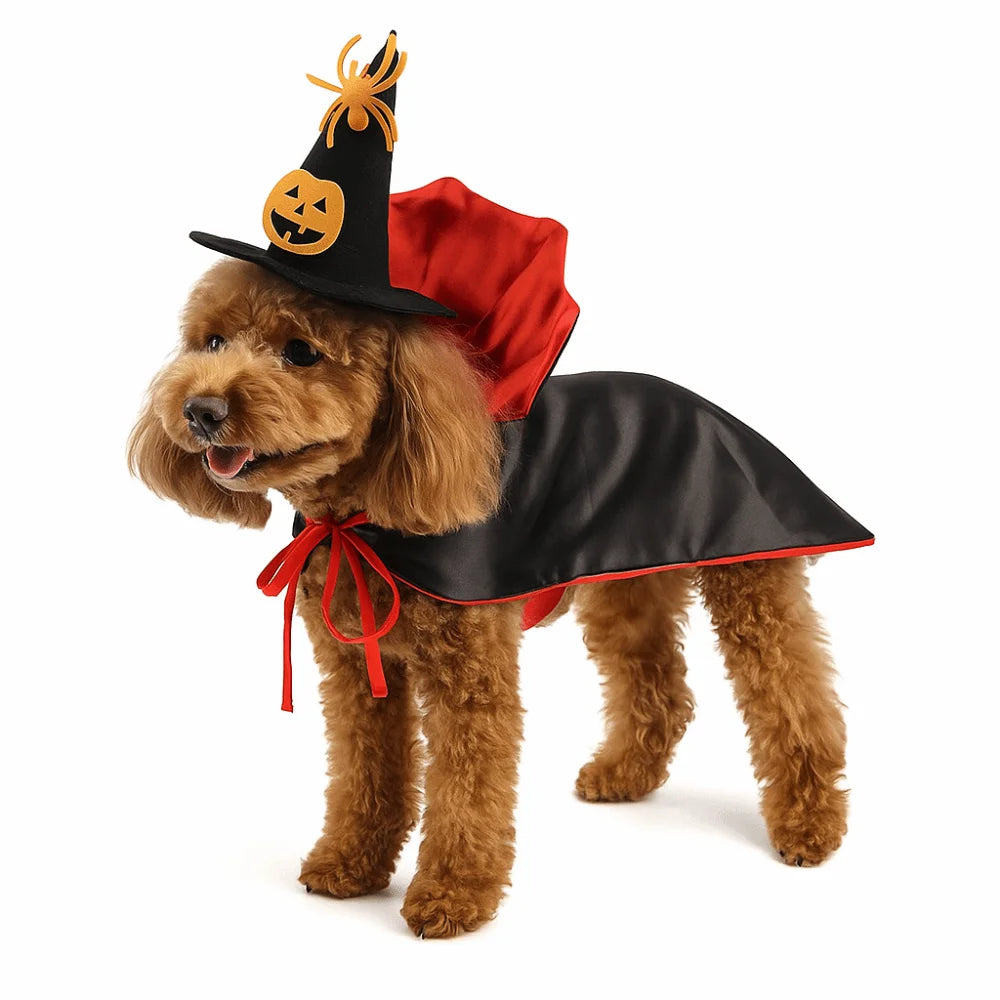 Vampire Costume