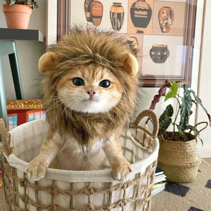 Lion Mane Wig