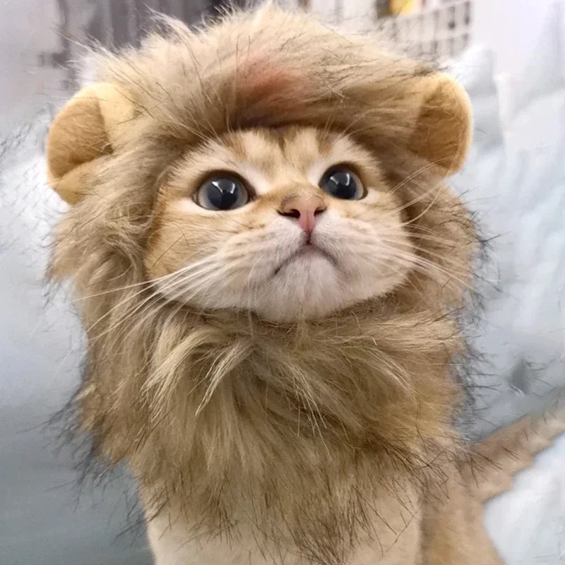 Lion Mane Wig