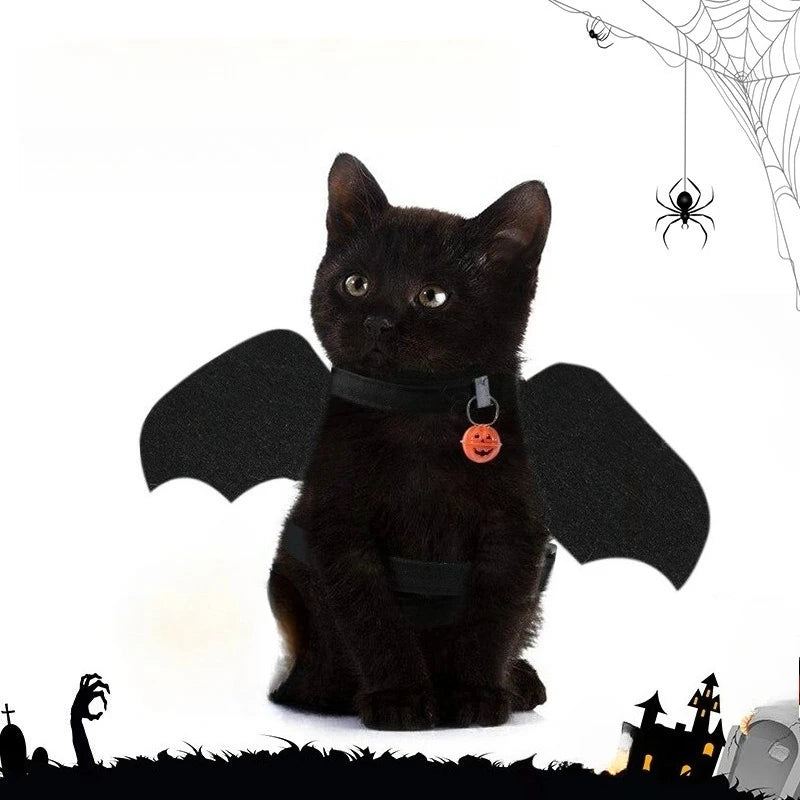 Bat Wing Costume