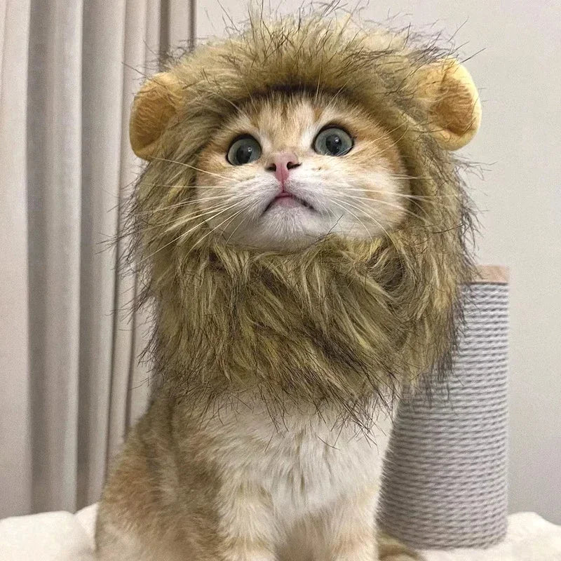 Lion Mane Wig