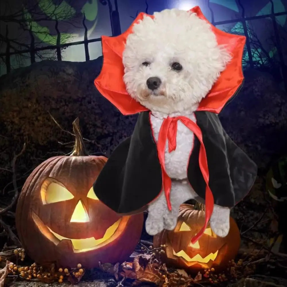 Vampire Costume