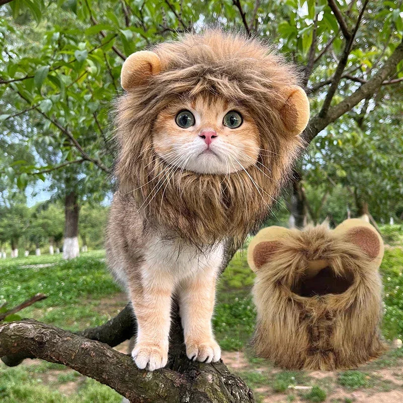 Lion Mane Wig