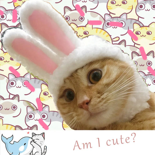 Bunny Ears