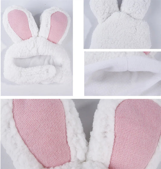 Bunny Ears
