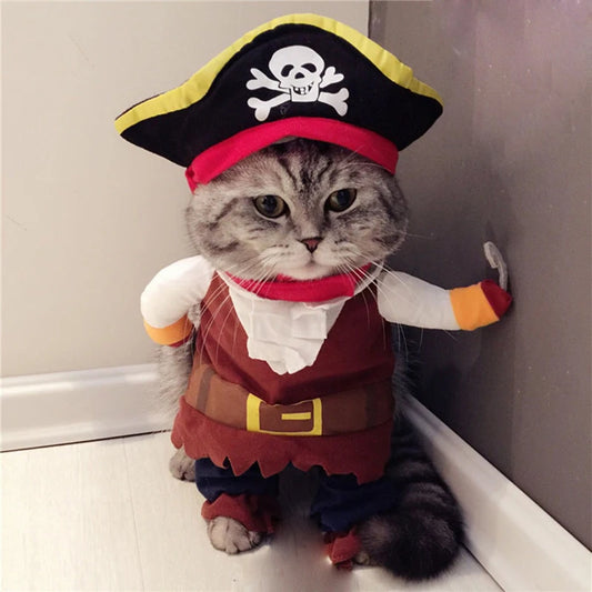 Pirate Costume