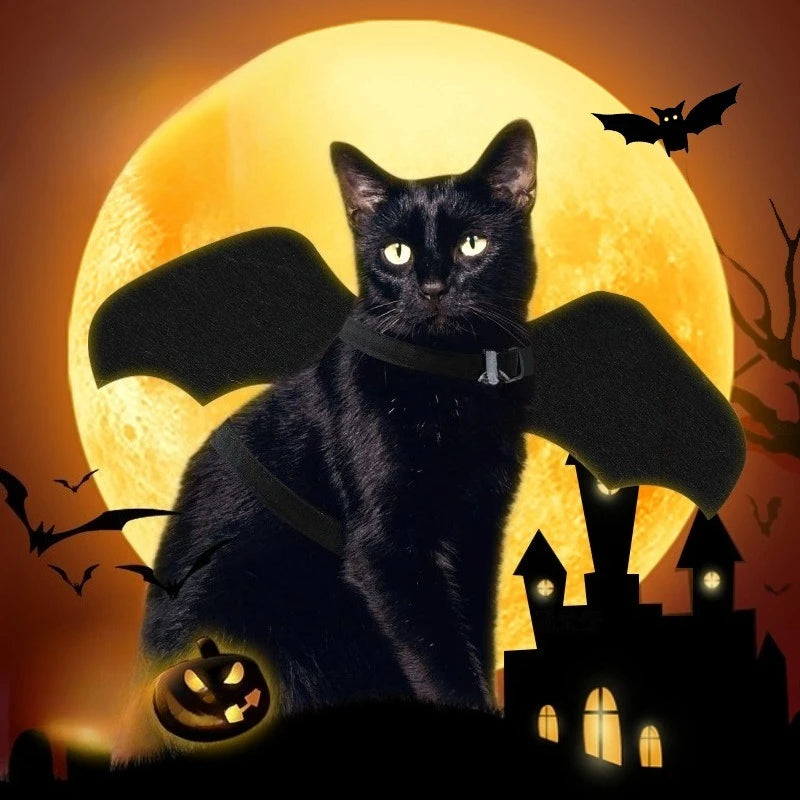 Bat Wing Costume
